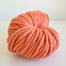 Load image into Gallery viewer, Super Woolly