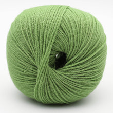 Load image into Gallery viewer, Merry Merino 220