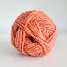 Load image into Gallery viewer, Woolly 8ply