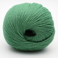 Load image into Gallery viewer, Merry Merino 220