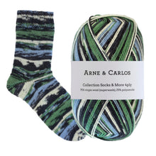 Load image into Gallery viewer, 3002 Randsverk Socks & More Collection 4ply