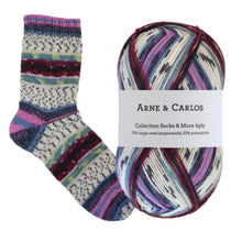 Load image into Gallery viewer, 3003 Treungen Socks & More Collection 4ply