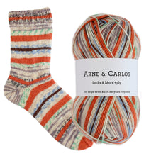Load image into Gallery viewer, 3006 The Last Brushstroke Socks & More Collection 4ply