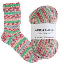 Load image into Gallery viewer, 3007 Sketchbook Socks & More Collection 4ply