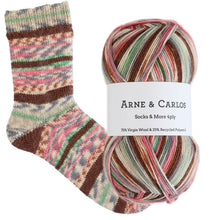 Load image into Gallery viewer, 3008 Worn Floorboards Socks & More Collection 4ply