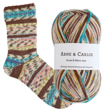 Load image into Gallery viewer, 3013 Late Afternoon Socks & More Collection 4ply