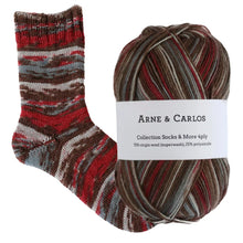 Load image into Gallery viewer, Socks & More Collection 4ply