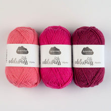 Load image into Gallery viewer, Edelweiss Alpaca