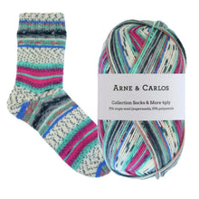 Load image into Gallery viewer, 3004 Morgedal Socks &amp; More Collection 4ply
