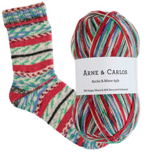 Load image into Gallery viewer, 3009 The Long Table Socks &amp; More Collection 4ply
