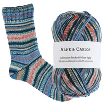 Load image into Gallery viewer, Socks &amp; More Collection 4ply

